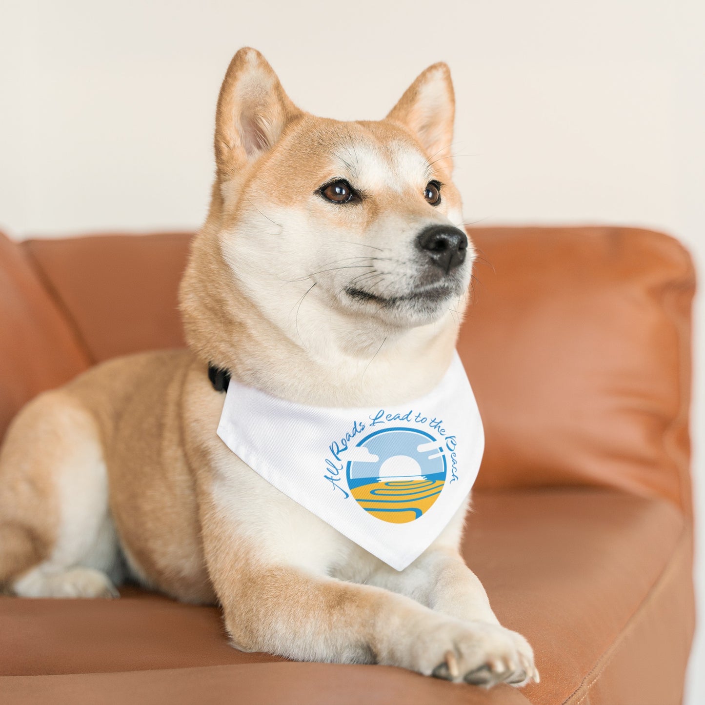 Pet Bandana Collar