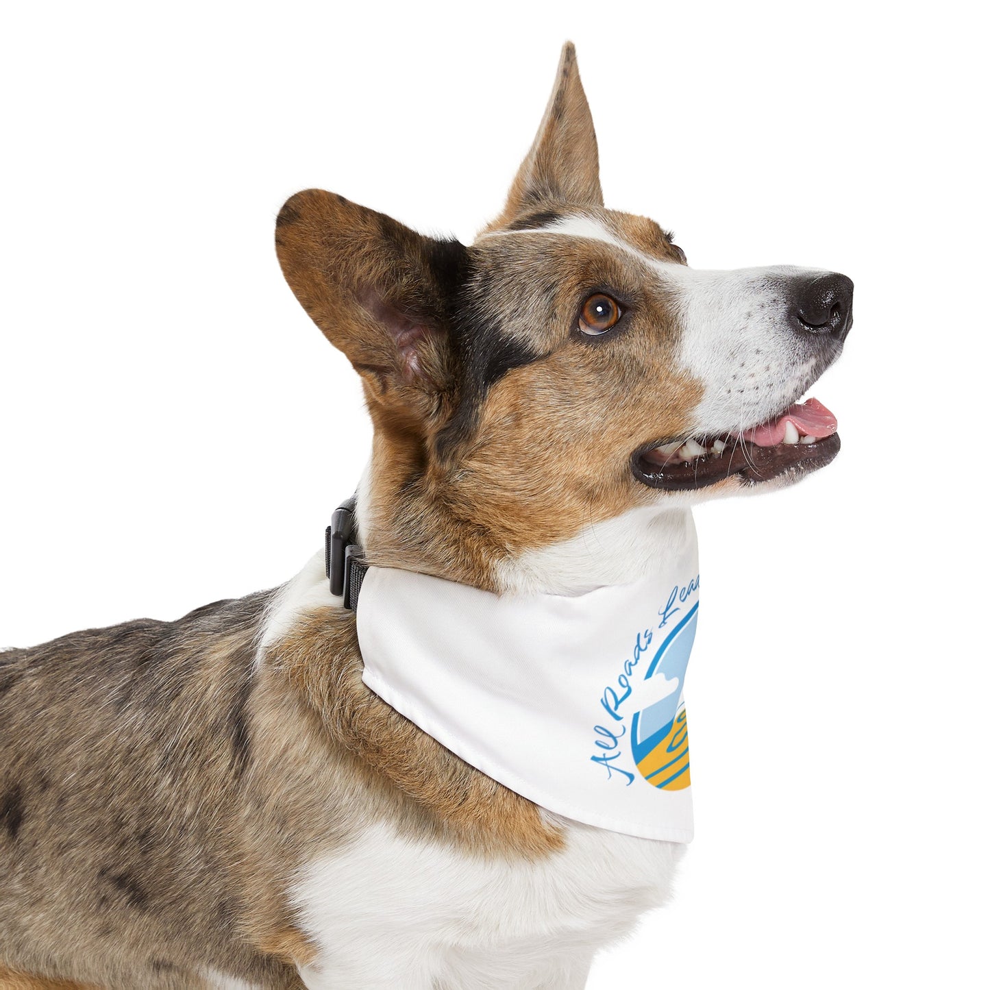 Pet Bandana Collar