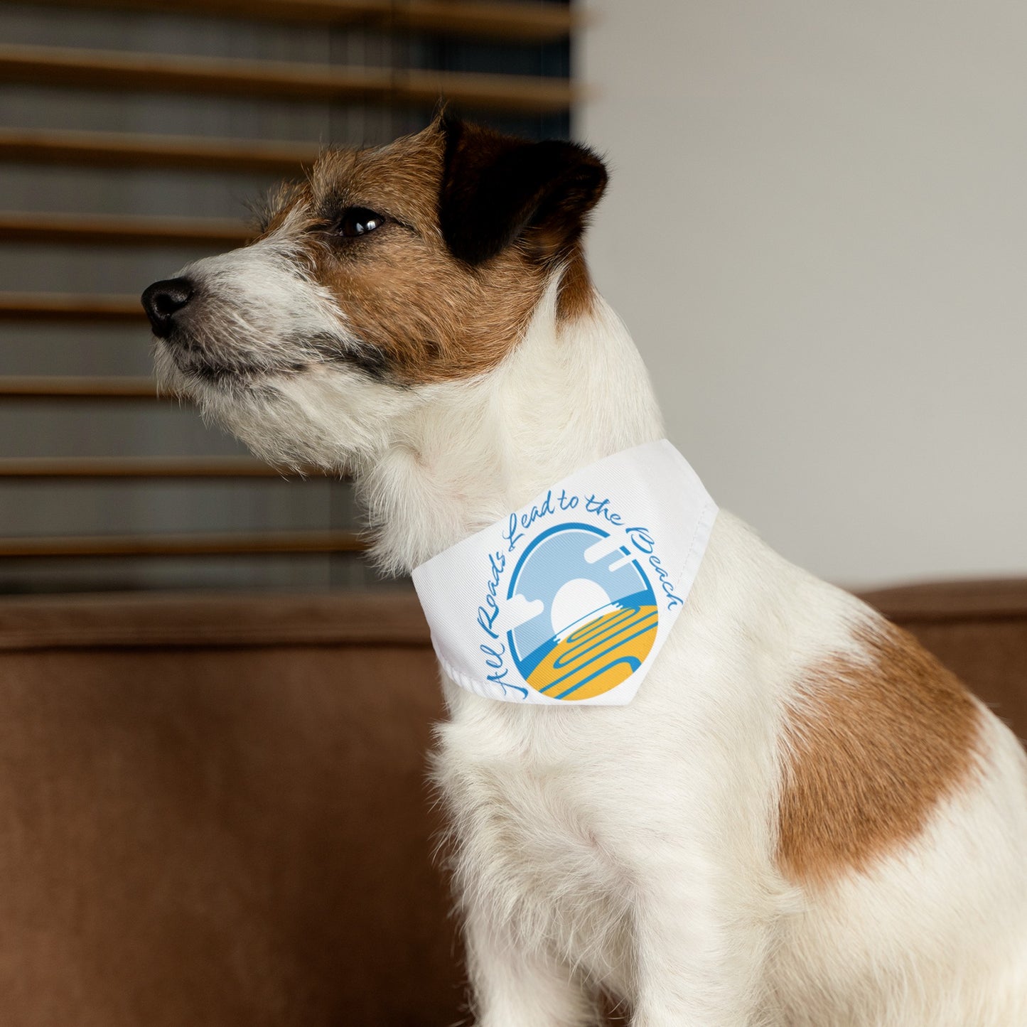 Pet Bandana Collar